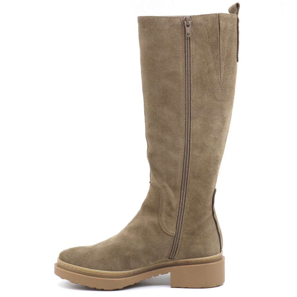 Women's high suede calf boot taupe LUXE TOPO CALF HIGH by Wonders
