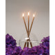 EVERLASTING CANDLES CHAMPAGNE Gifts + Accessories Home & Gifts Everlasting Candle Co.    
