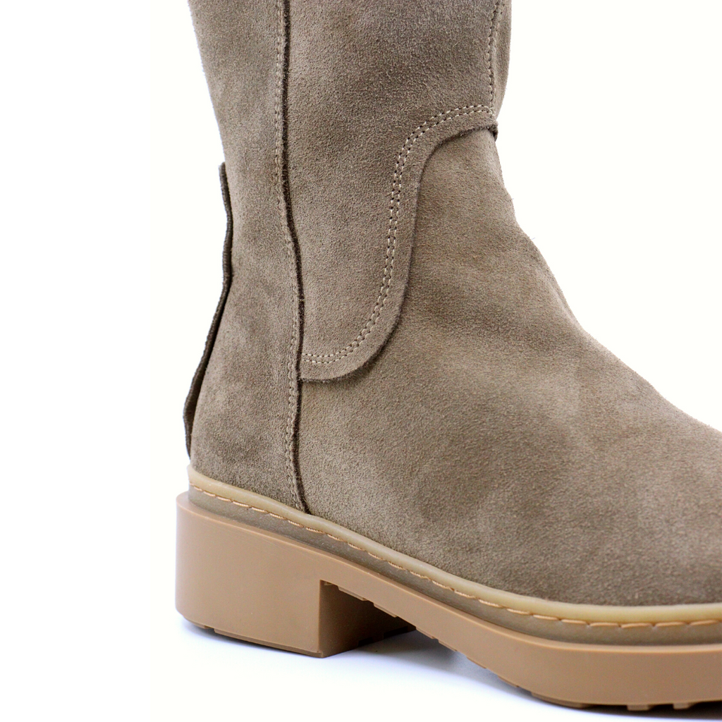 Women's high suede calf boot taupe LUXE TOPO CALF HIGH by Wonders