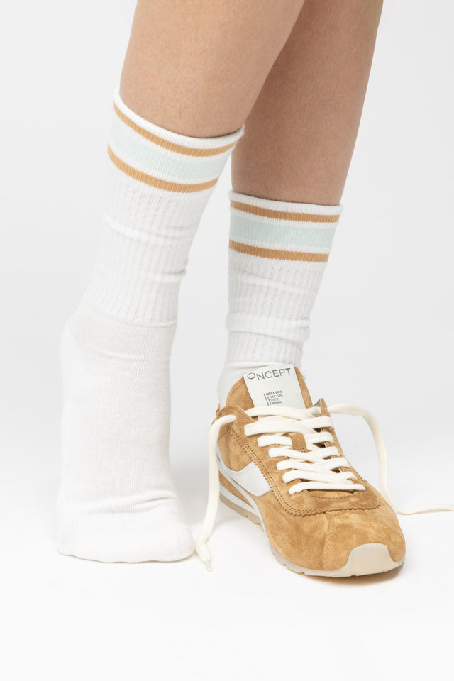 Stripe Crew Sock Desert Multi Pack Gifts + Accessories Socks Oncept